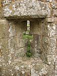 IMG_3312.JPG