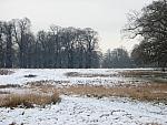 Richmond Park