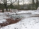 Richmond Park