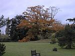 Autumn Colours
