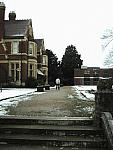 Silwood: Deep and Crisp and Even