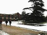 Silwood: Deep and Crisp and Even