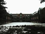 Silwood: Deep and Crisp and Even
