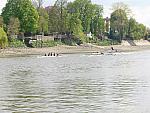 Chiswick Regatta 005.jpg