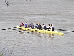 Chiswick Regatta 017.jpg