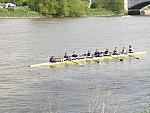 Chiswick Regatta 023.jpg