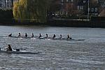 IMG_7125.JPG