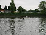 PTRC 028.jpg