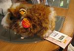 Expensive Guinea Pig