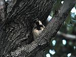 IMG_1018.jpg